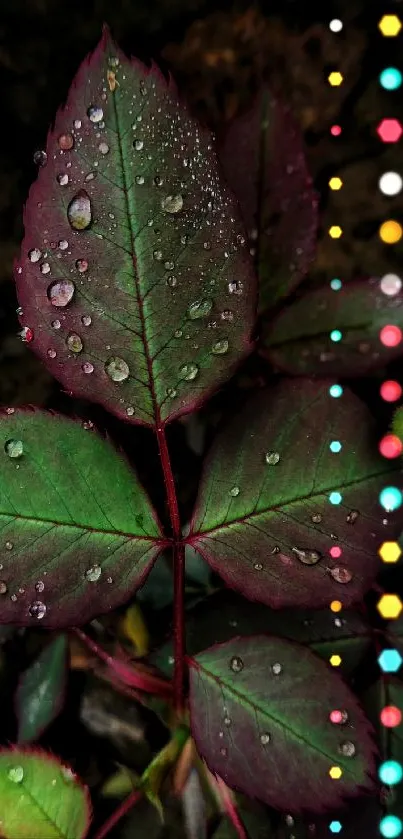 Green leaves with raindrops and colorful dotted pattern on a dark background.