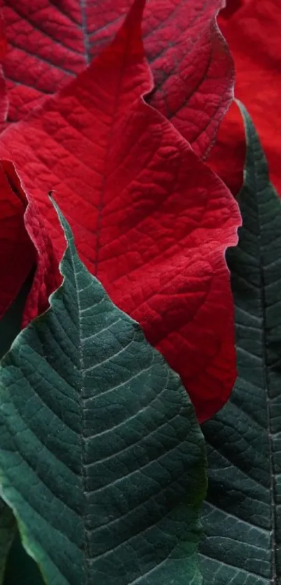 Vibrant red and green leaf pattern wallpaper.