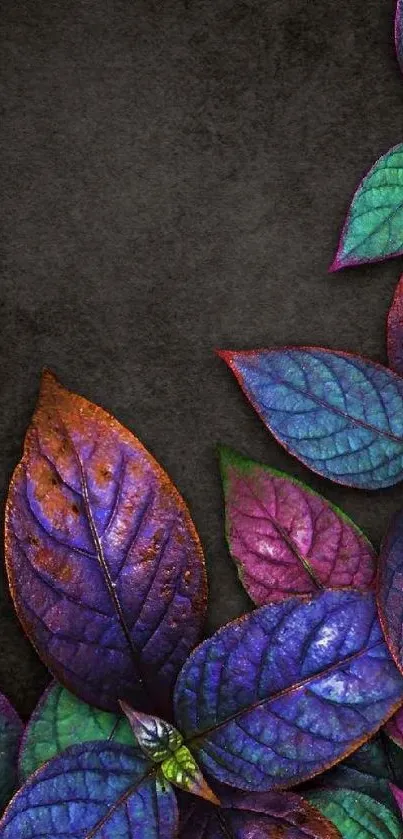 Vibrant colorful leaves on dark background mobile wallpaper.