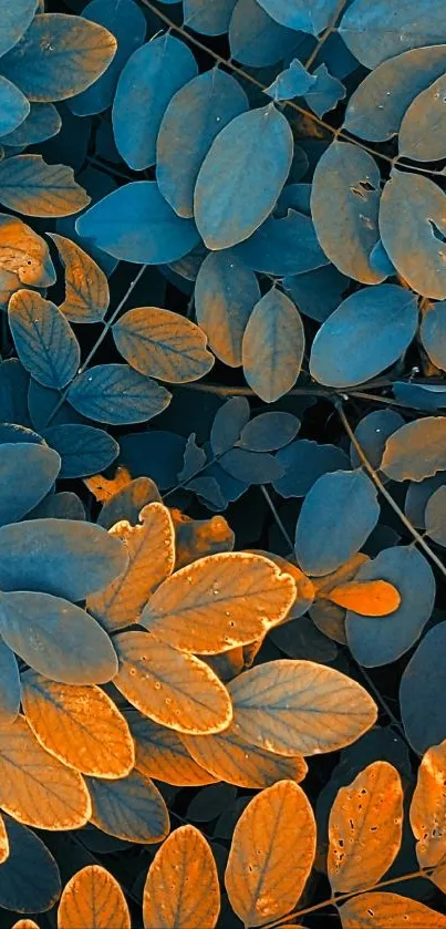 Blue and orange leaves texture mobile wallpaper.