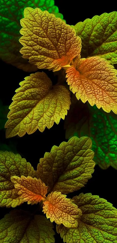 Vibrant wallpaper with detailed green leaves.