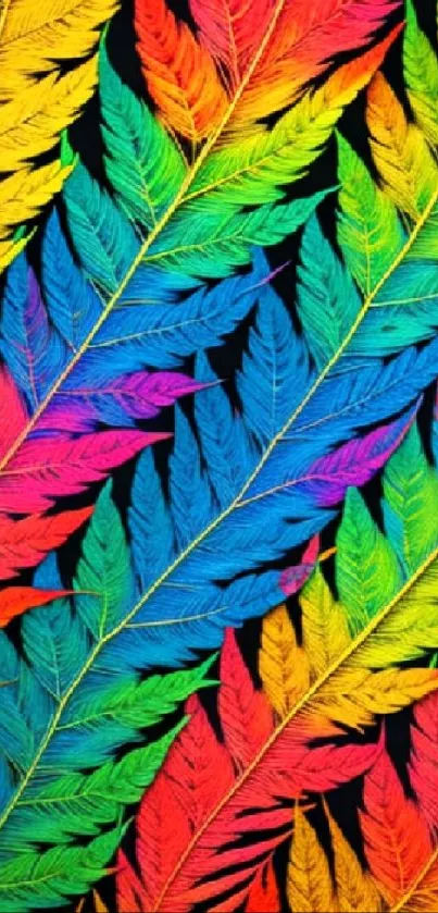 Colorful vibrant leaves on a dark background wallpaper.