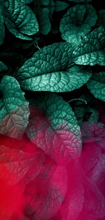 Vibrant leaves with red overlay mobile wallpaper.