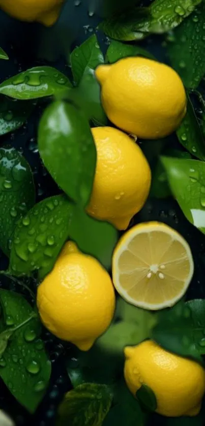 Vibrant lemons and green leaves wallpaper with water droplets.