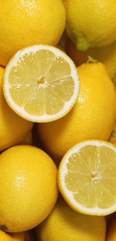 Bright yellow lemon slices wallpaper for mobile phone.