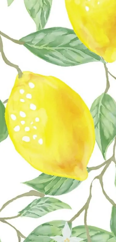 Lemon and green leaf wallpaper design.