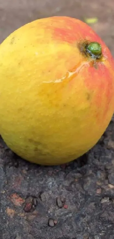 Bright lemon on rustic surface wallpaper.