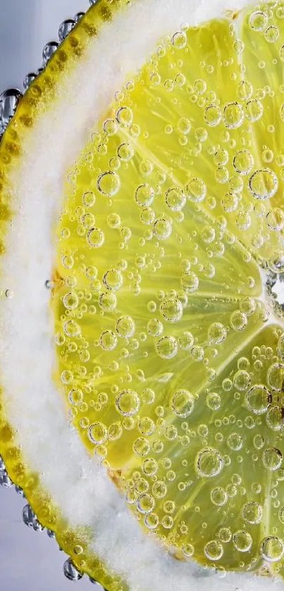 Close-up of a lemon slice in bubbly water.