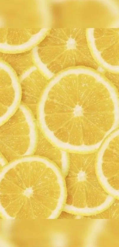 Bright lemon slices pattern wallpaper with a vibrant yellow hue.