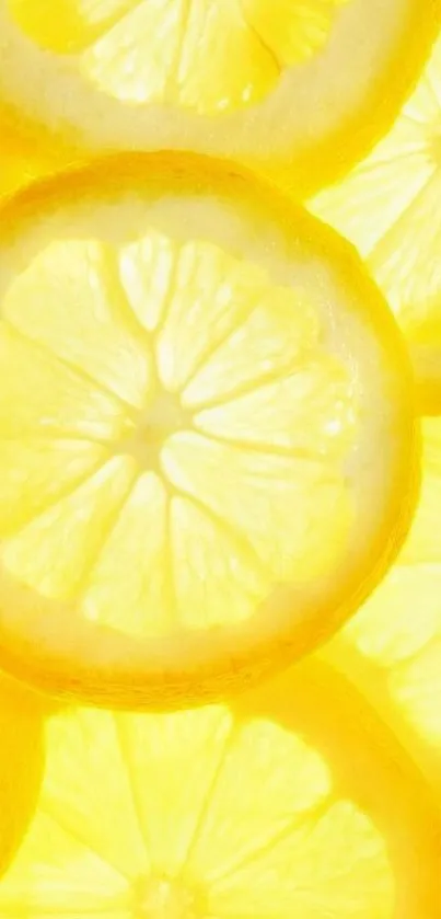 Bright lemon slices wallpaper for a refreshing citrus look.