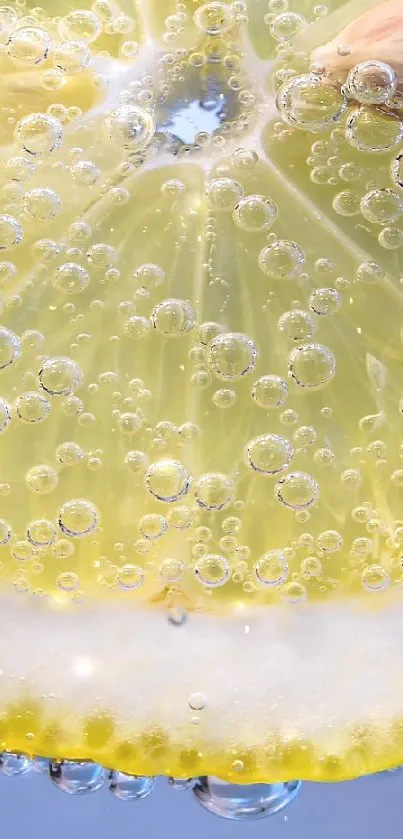 Close up of a lemon slice with bubbles, creating a refreshing and vibrant look.