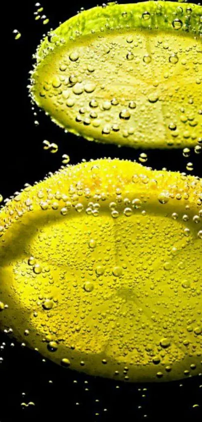 Bright lemon slices with bubbles wallpaper.