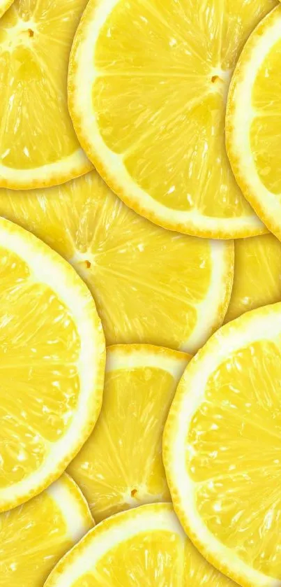 Vibrant slices of fresh yellow lemons.