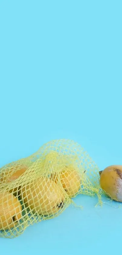 Bright blue wallpaper featuring lemons in a net bag.