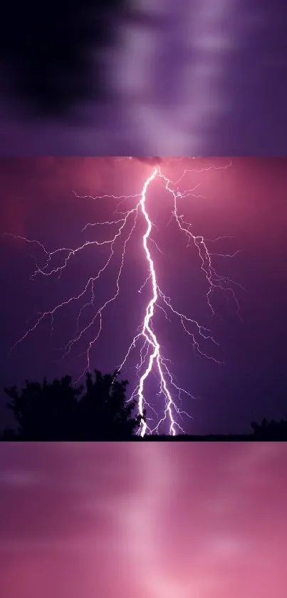 Electrifying purple lightning storm wallpaper with dramatic sky.