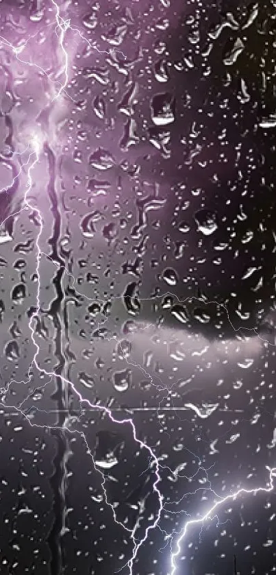 Purple lightning bolts illuminate a stormy, cloud-filled night sky.