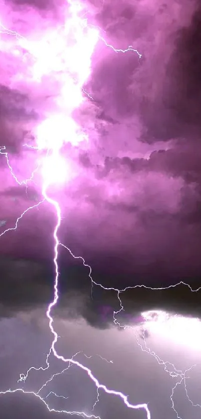 Vibrant purple lightning storm with dramatic clouds.