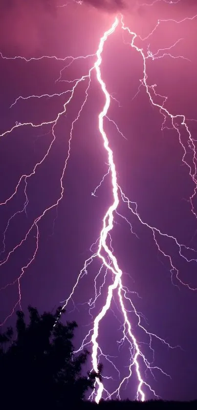 Vibrant lightning strike against a purple night sky.