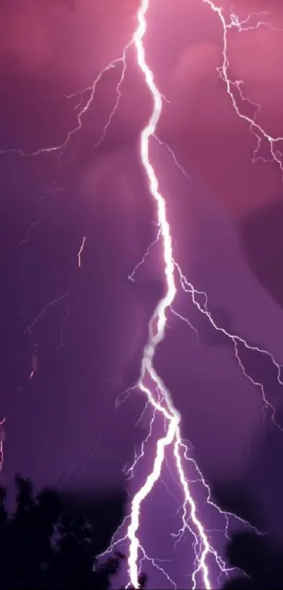 Electrifying purple lightning bolt striking in a vibrant sky.