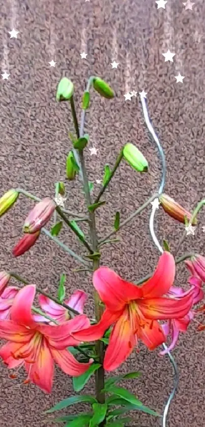 Vibrant pink and orange lilies with a textured background.