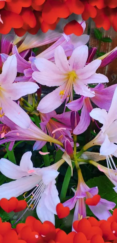 Beautiful pink lilies with red heart accents on a vibrant wallpaper.