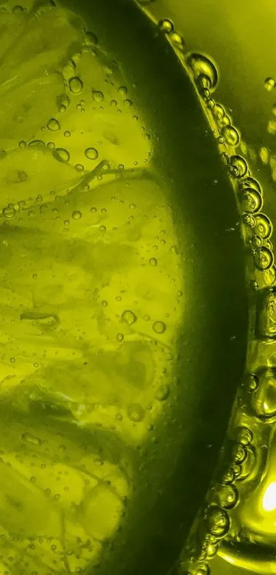 Close-up of lime with bubbles in vibrant green tones.