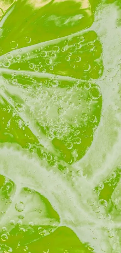 Vibrant lime slices with bubbles wallpaper.