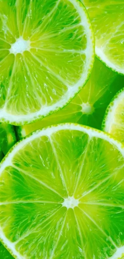 Vibrant lime slices creating a fresh, zesty phone wallpaper.