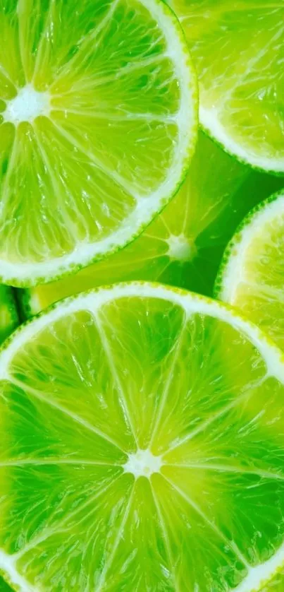 Vibrant green lime slices wallpaper for mobile screens.