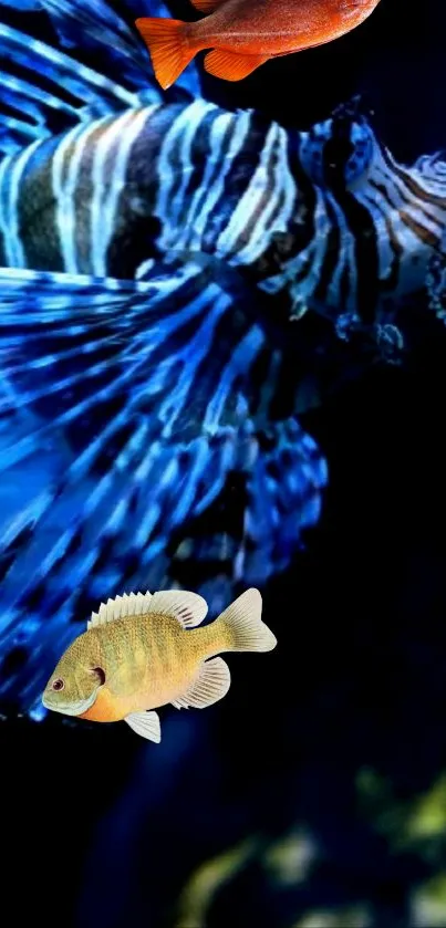Vibrant lionfish swimming in deep blue ocean.