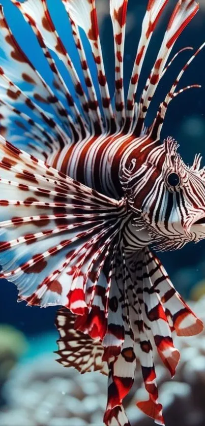 Vibrant lionfish swimming in the ocean.