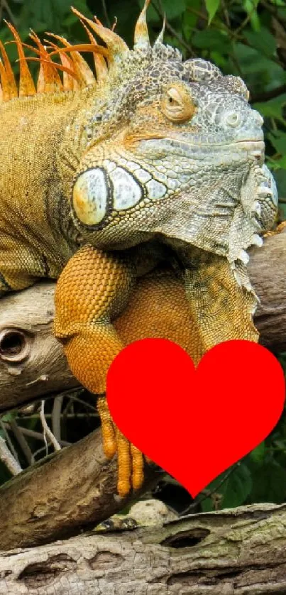 Vibrant lizard on a tree with lush green background.