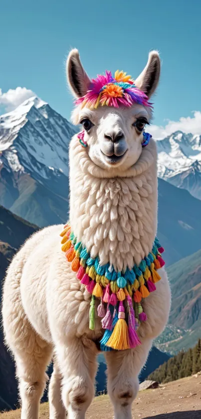 Colorful llama with tassels in mountain scenery