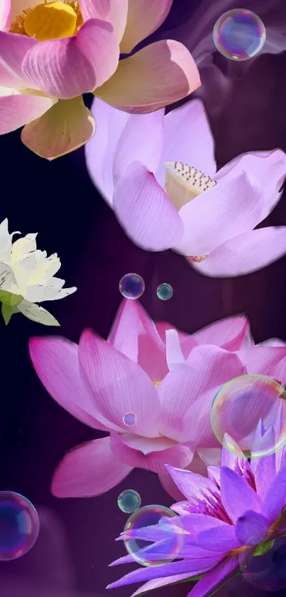 Vibrant wallpaper with lotus flowers and bubbles on a purple background.