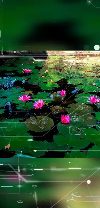 Vibrant pond wallpaper with pink lotus flowers and digital effects.