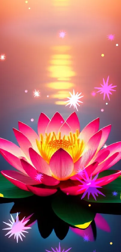 Vibrant pink lotus reflecting in sunset glow on a serene water surface.