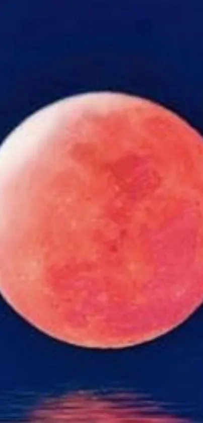 Red moon against a deep blue sky, perfect for celestial enthusiasts.