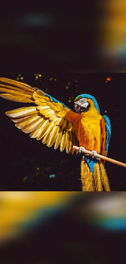 Vibrant yellow and blue macaw perched on a branch.