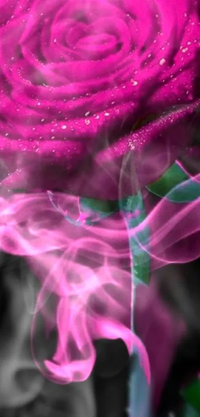 Vibrant magenta rose with smoke effect.