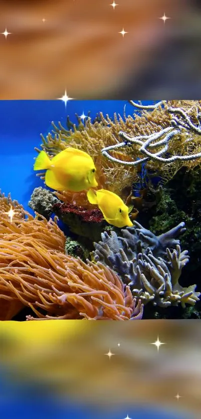 Colorful underwater coral reef with vibrant fish.