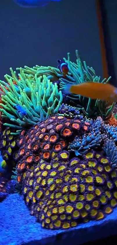 Vibrant coral reef with colorful fish