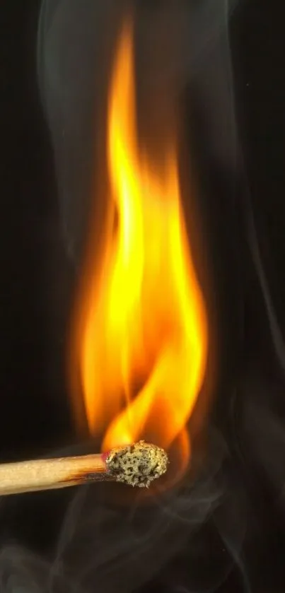 A burning matchstick with vibrant orange flame against a dark background.