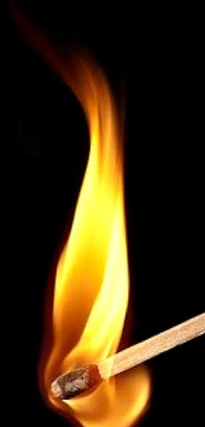 A striking matchstick with a bright orange flame on a black background.