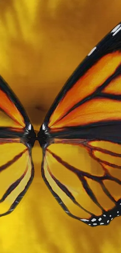 Vibrant monarch butterfly on a golden background.