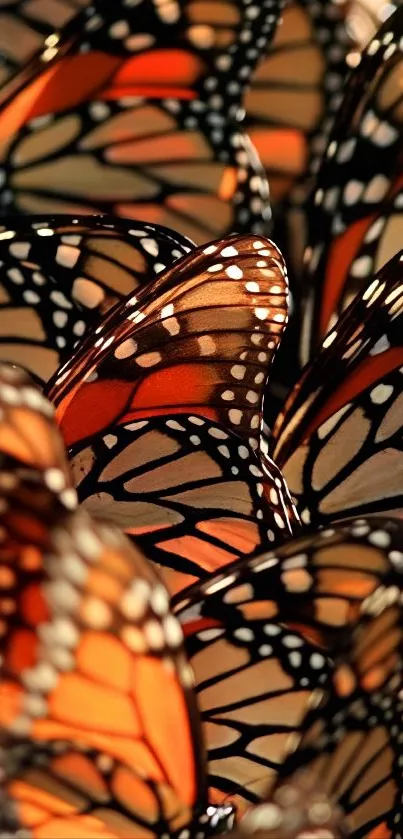 Cluster of vibrant Monarch butterflies with patterned wings.
