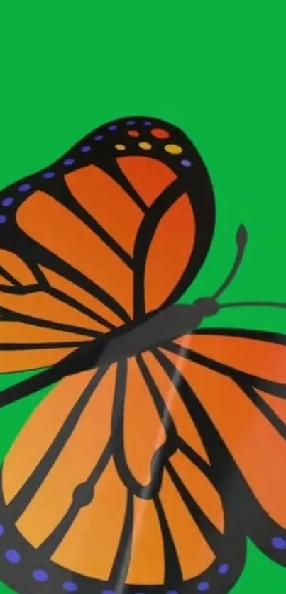 Vibrant orange monarch butterfly on green background.