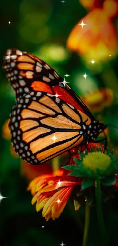 Close-up of a monarch butterfly on vibrant flowers in nature.