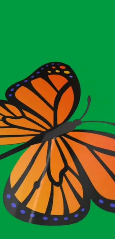 Orange and black monarch butterfly on a green background wallpaper.