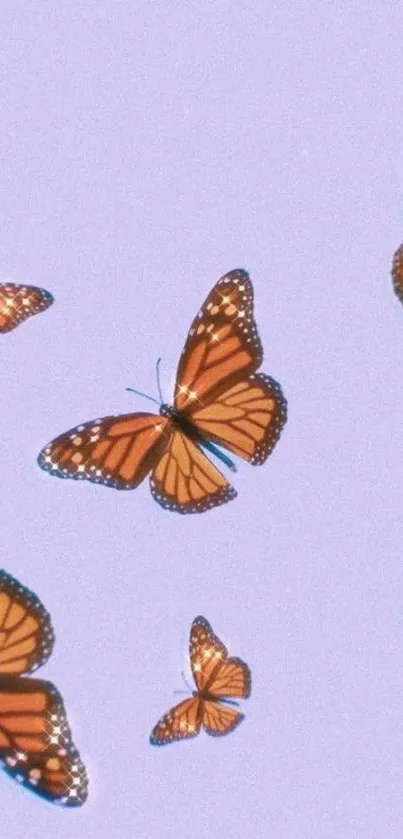 Vibrant monarch butterflies on a lavender background wallpaper.