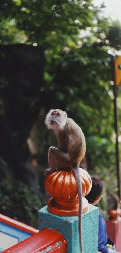 Monkey perched on colorful railing amidst lush green background.